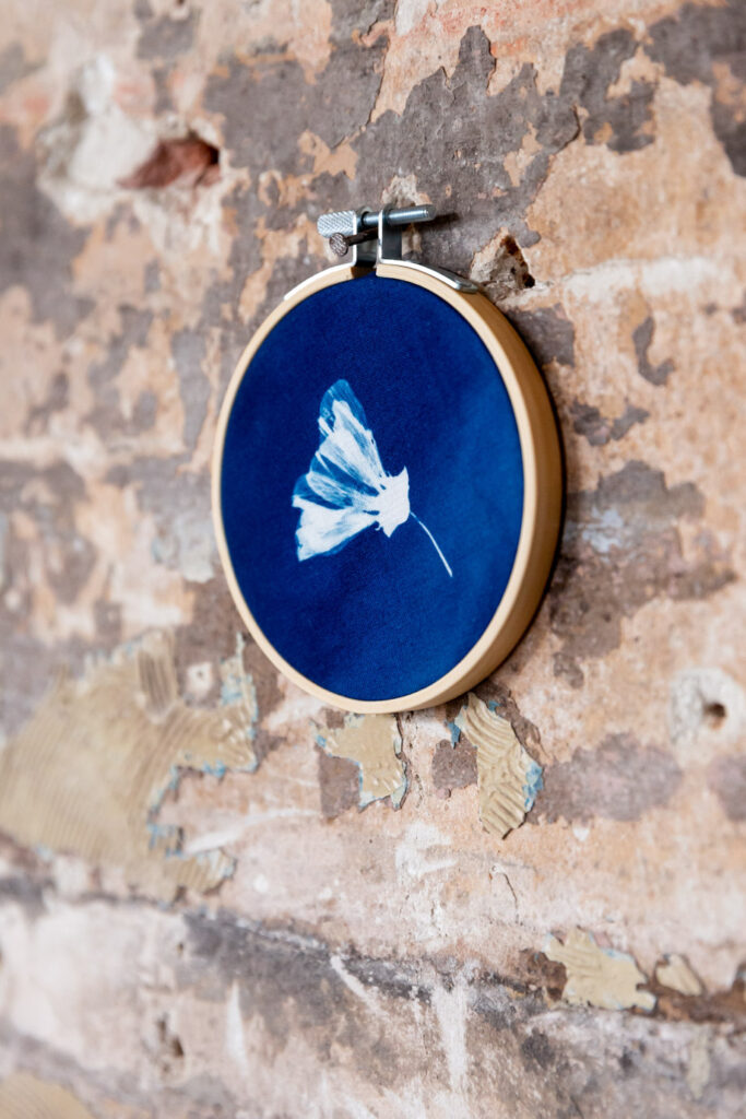 cyanotype petunia jonna van hesteren