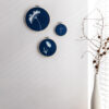 Jonna van Hesteren_cyanotype 11