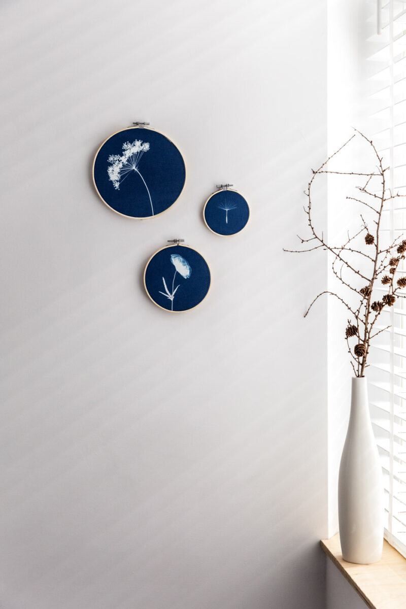 Jonna van Hesteren_cyanotype 11