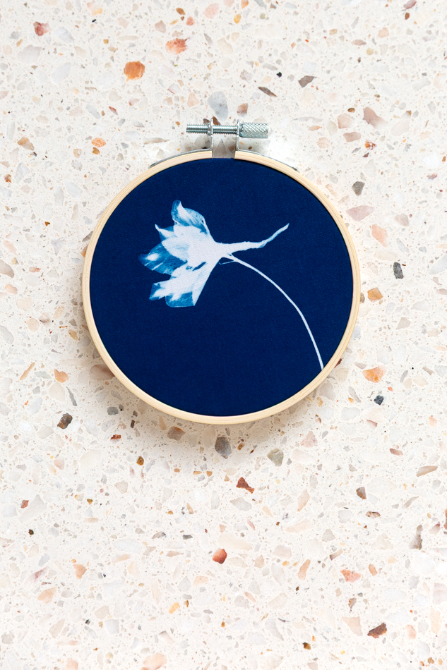 Cyanotype borduurring delphinium_06